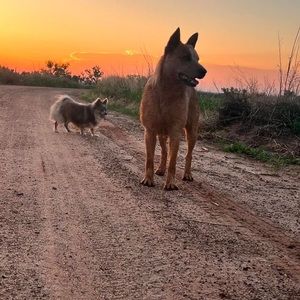Meet your Posher, Debra